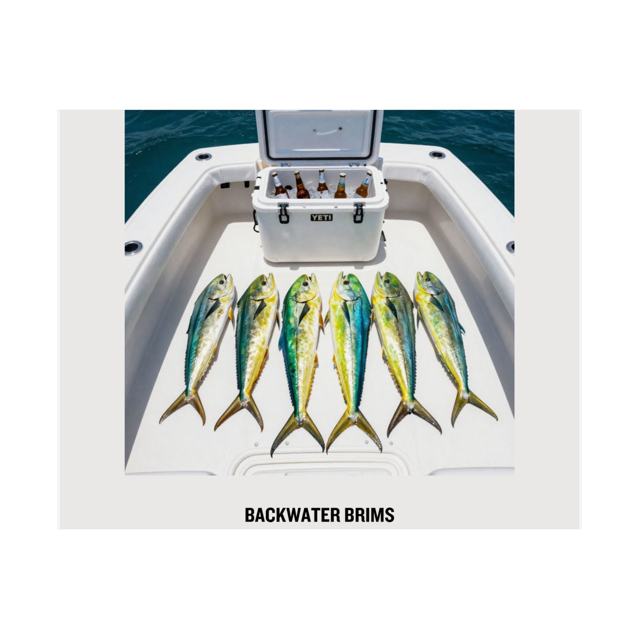 Boat Poster — 'BACKWATER BRIMS' Matte Horizontal Wall Art
